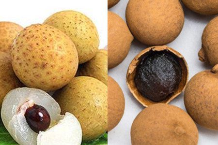 Longan Tea Pairing Guide: A Perfect Blend of Deliciousness and Health-2