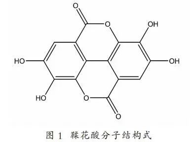 Detection Technology: Determination of Ellagic Acid Content in Pu’er Ripened Tea by High-Performance Liquid Chromatography