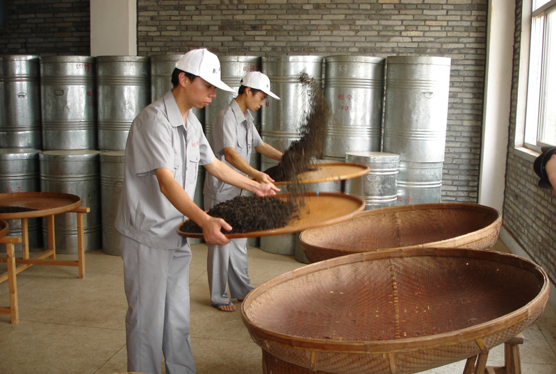 A Detailed Tutorial on Wuyi Rock Tea Refining Techniques by Intangible Cultural Heritage Practitioners, Highly Recommended for Collection!-7