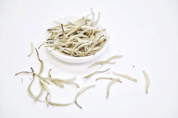 Complete Guide to White Tea-1