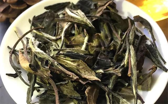 Differences Between Loose and Compressed White Tea-1