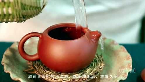 How to Start Using a Purple Clay Teapot for the First Time?