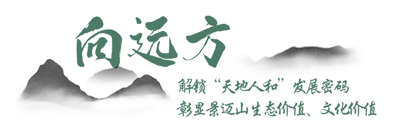 You Natively Born, Self-Directed Toward the Distance — A Series on the Journey of Jingmai Mountain's Bid for World Heritage Status ③-1