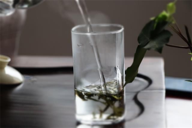 How to Brew Green Tea Best, and How Much Should You Drink Per Day-2