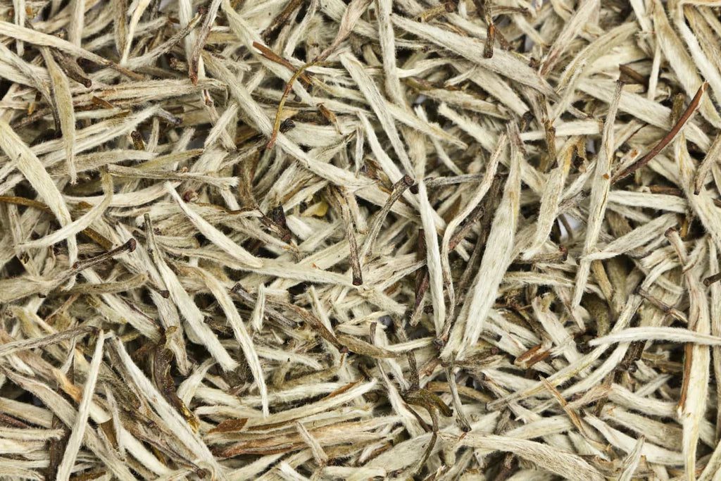 Complete Guide to White Tea-2