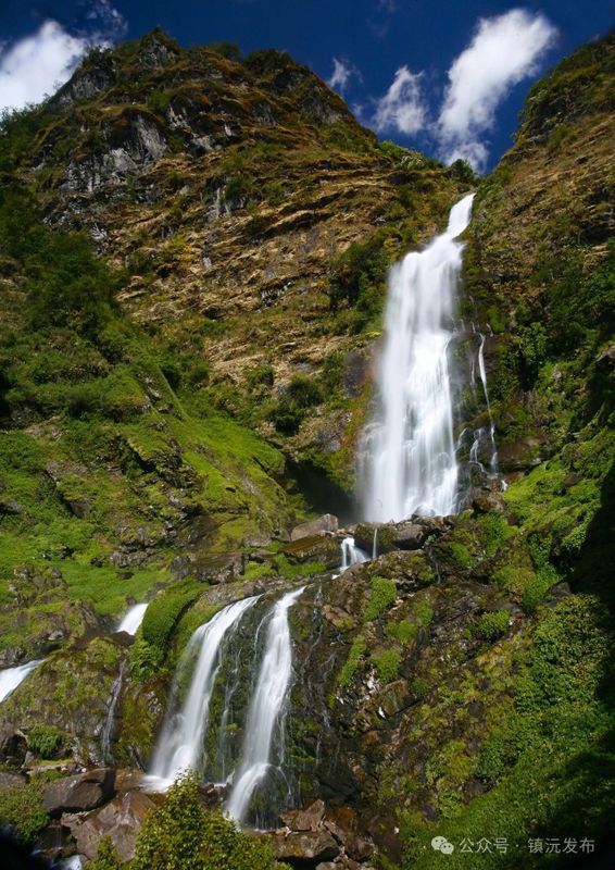 Eight Key Tea Areas in Zhenyuan, Yunnan: Each Mountain Unique, Every Season Beautiful-1