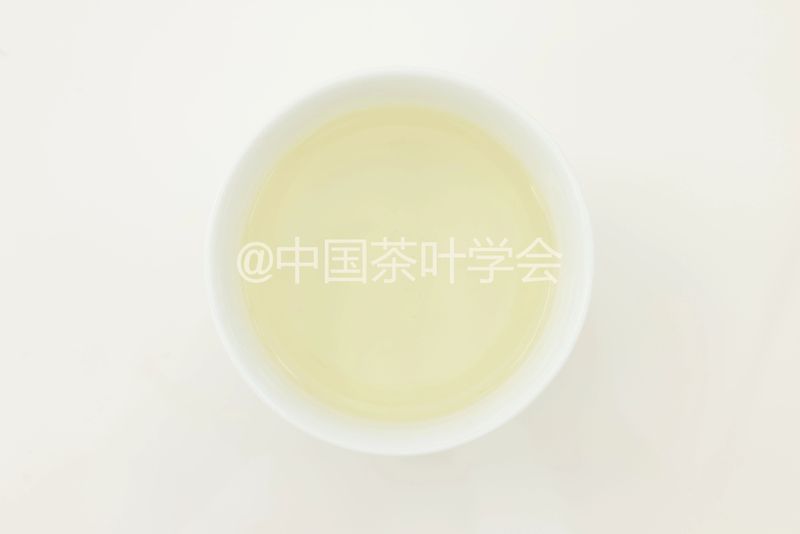 Weekly Tea Knowledge: I Know the Fresh Taste! Let's Talk About the Whitening and Yellowing of Tea Leaves ①-9