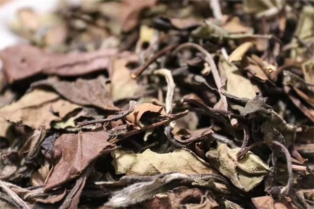 How to Select White Tea of Different Years?-3