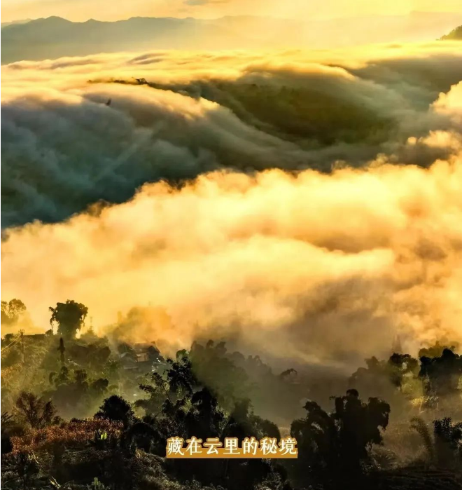 To Xigui, Brew a Pot of Fine Tea and Watch the Sea of Clouds-1