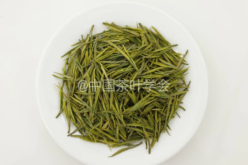 Weekly Tea Knowledge: I Know the Fresh Taste! Let's Talk About the Whitening and Yellowing of Tea Leaves ①-5