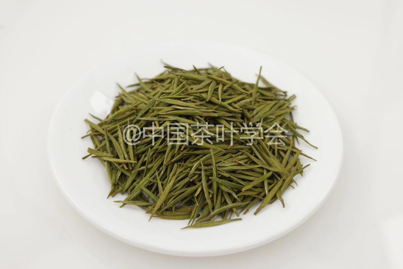 Weekly Tea Knowledge: I Know the Fresh Taste! Let's Talk About the Whitening and Yellowing of Tea Leaves ①-11