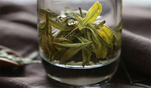 Brewing Green Tea: How Much Green Tea Should You Drink Each Day-3