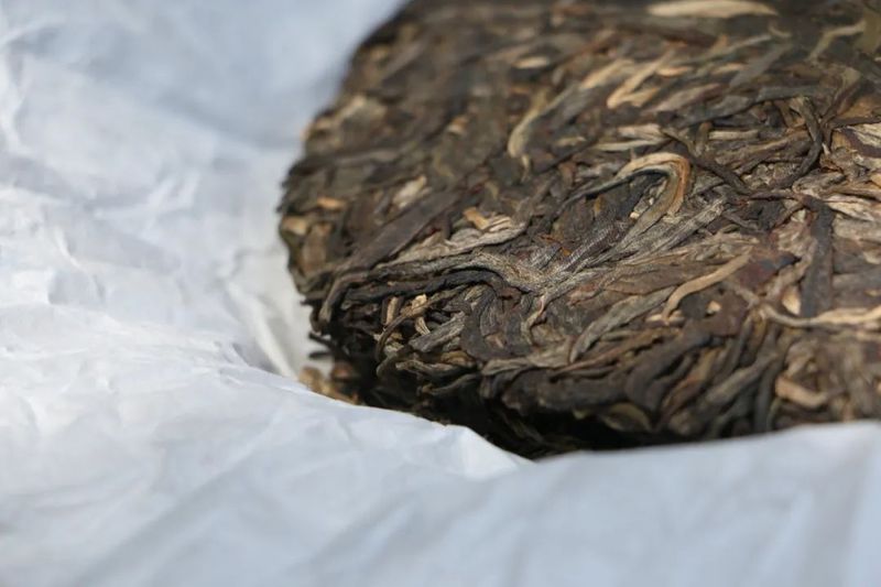 Puer Tea Ranges from Tens to Hundreds of Thousands per Pound—What's the Difference?-6