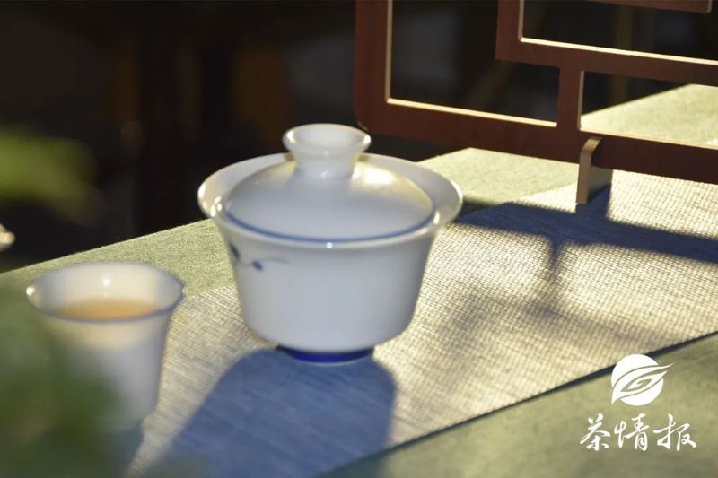 Dry Goods! As the Rainy Season Rages, How Should Pu'er Tea Be Stored in Different Regions?-6