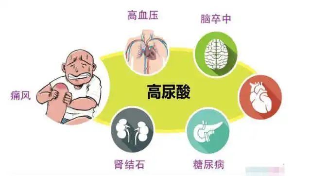 Academy Member Liu Zhonghua's Team on the Uric Acid Lowering Effect and Mechanism of Anhua Dark Tea-3