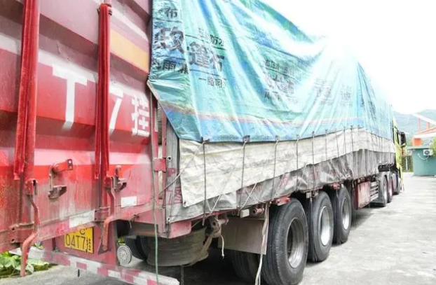 Sinan, Guizhou: First Shipment of 800-Ton Eco-Friendly Tea Order Marks Another Milestone on the Path to Green Development-2