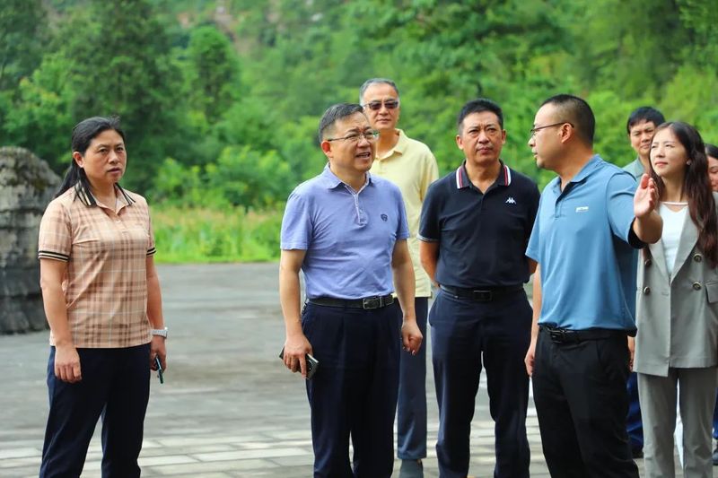 Chairman Lu Pengfei of the District CPPCC Conducts Field Research on Tea Industry Development and Workstation Construction in Houping and Tongzi-1