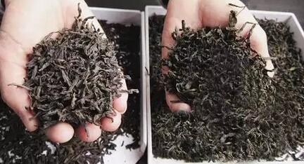 The Difference Between an 8 Yuan Tea and an 80,000 Yuan Tea: What Lies In Between?-4