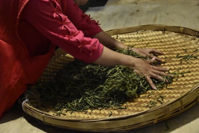 The Production Process of Sun-Dried Green Maocha-3