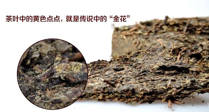 Academy Member Liu Zhonghua's Team on the Uric Acid Lowering Effect and Mechanism of Anhua Dark Tea-4