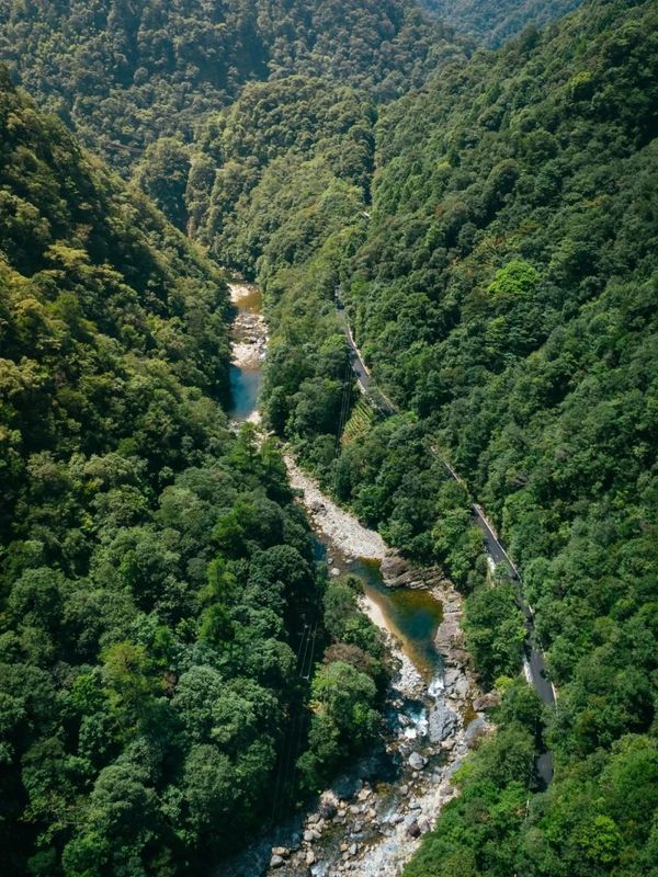 The Unique Ecological Environment of the Core Producing Area of Zhengshan XiaoZhong, the Ancestor of Black Tea-3