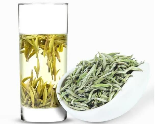 Silver Needle White Tea - A Tea for All Seasons Health Preservation-1