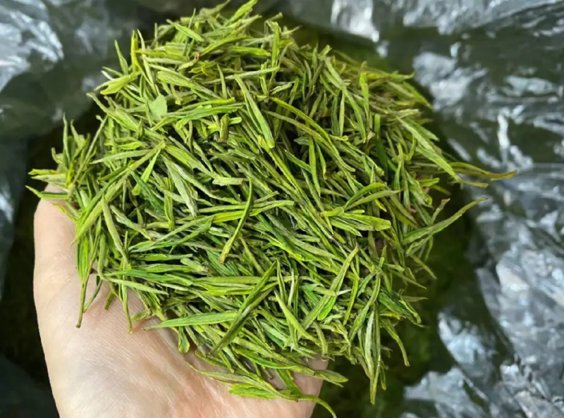 Can Green Tea Be Brewed With 100-Degree Water?-2