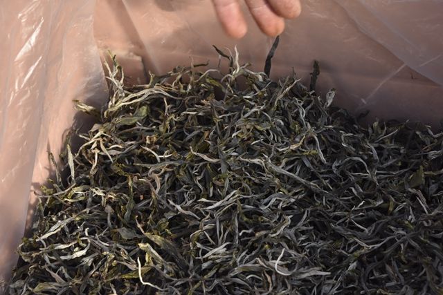 Lincang Bingnong Mountain 2024 Spring Tea Prices-2