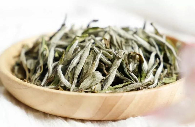 White Tea — A Treasure Refined by Time-2