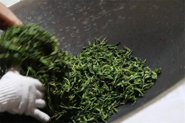 Pu'er Tea Production: The Metamorphosis of a Single Leaf-3