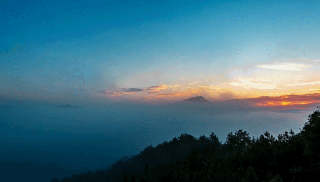 A Taste of Wuyi's Scenery in a Cup of Clear Tea-1