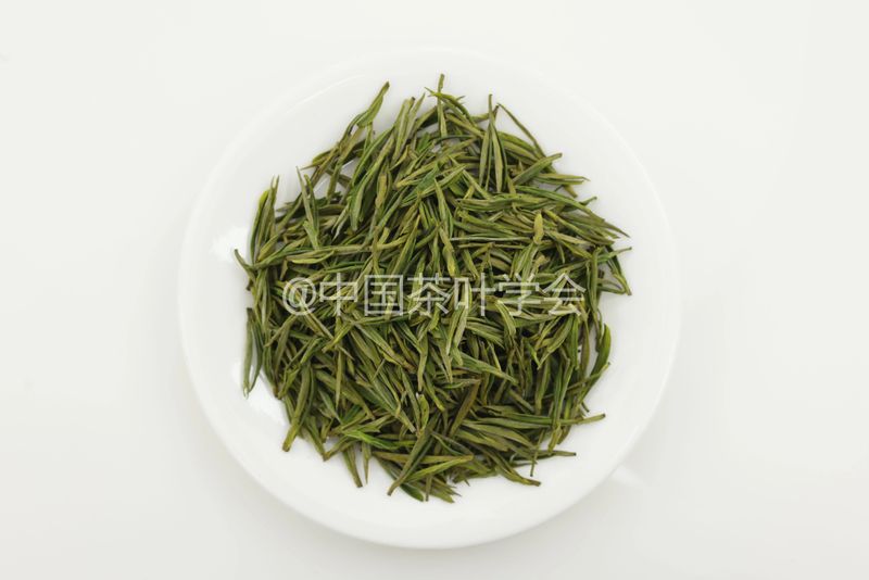 Weekly Tea Knowledge: I Know the Fresh Taste! Let's Talk About the Whitening and Yellowing of Tea Leaves ①-2