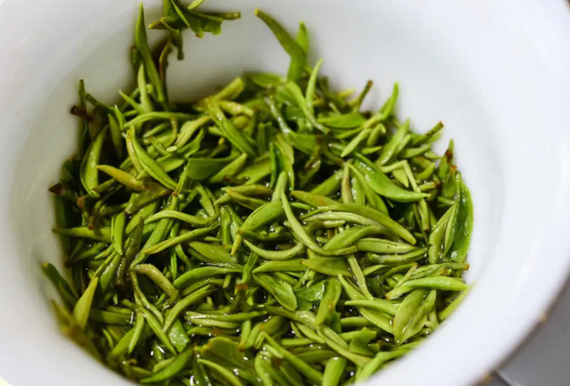 How to Identify the Characteristics of Xinyang Maojian Tea-2