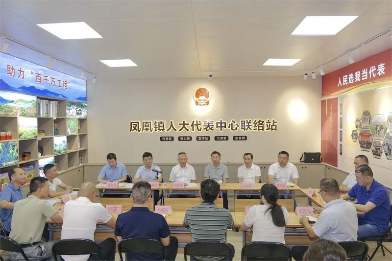 Guangdong Practice: People's Congress Deputies Offer Strategies for High-Quality Development of Chaozhou's Tea Industry-1