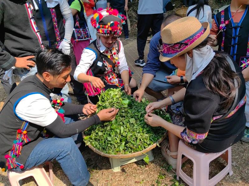 Promoting Rural Revitalization through Tea: The Ancient Tea Mountain of Nanuo Mountain Officially Opens for Spring Harvest-2