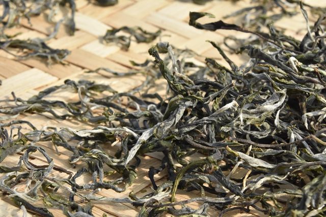 The Production Process of Sun-Dried Green Maocha-5