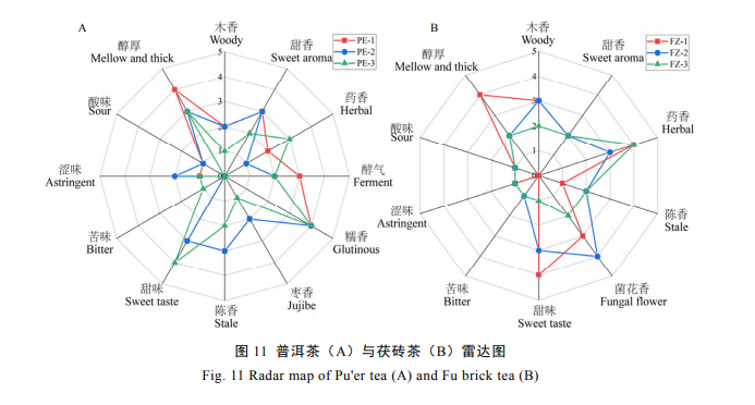 Construction and Application of the Flavor Wheel for Pu'er Tea and Fu Brick Tea-6