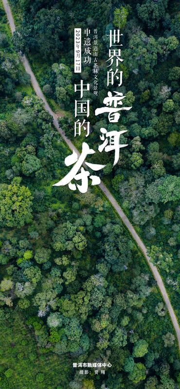 Why Jingmai Mountain?—The Journey to World Heritage Status for the Ancient Tea Forest Cultural Landscape of Pu'er Jingmai Mountain-1