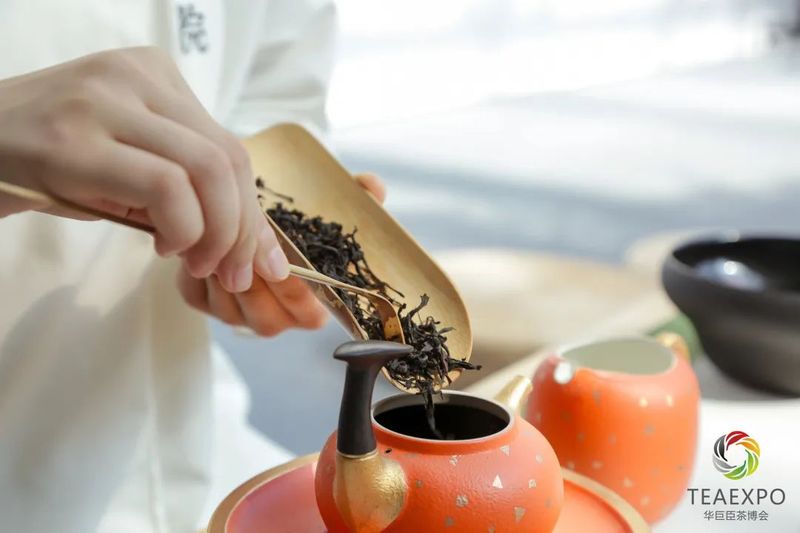 Brewing or Cooking Tea? Let These Teas Resolve Your Dilemma!-1