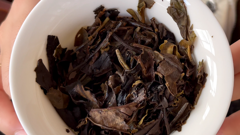 How Much Do You Know About Yunnan White Tea? How to Brew Shou Mei White Tea for a Great Taste-20