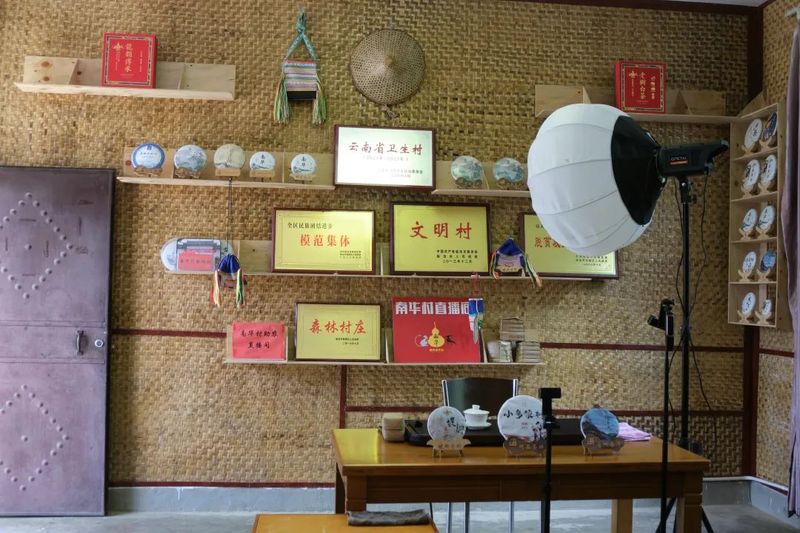 Live Streaming + Training, Nanhua Village's Tea Industry Embraces New Vitality-1