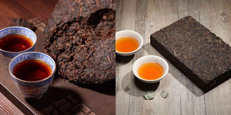 Construction and Application of the Flavor Wheel for Pu'er Tea and Fu Brick Tea-1