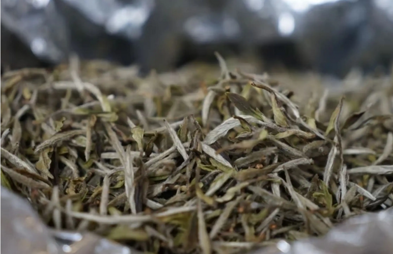 The Correct Storage Method for White Tea, Precautions for Storing White Tea-1