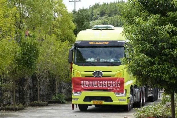 Sinan, Guizhou: First Shipment of 800-Ton Eco-Friendly Tea Order Marks Another Milestone on the Path to Green Development-3