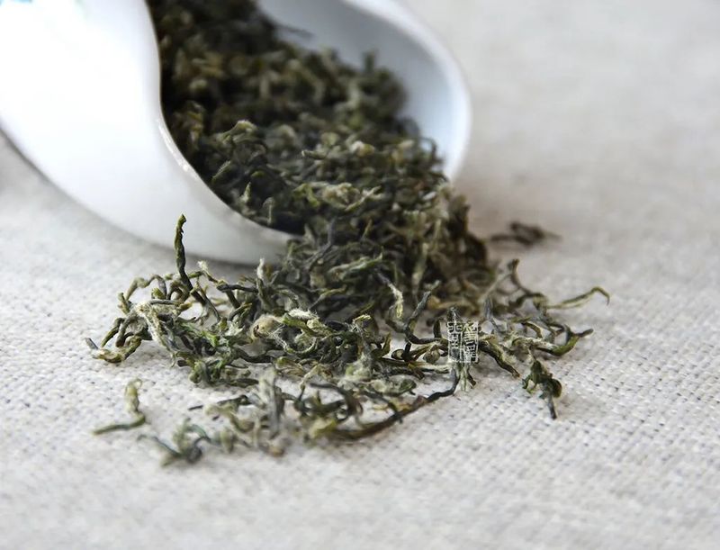 Green Tea is Best Enjoyed Fresh – Instead of Worrying About the Expiry Date, Learn How to Store It Properly!-4