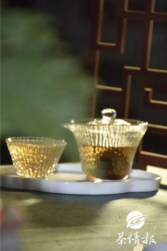 Dry Goods! As the Rainy Season Rages, How Should Pu'er Tea Be Stored in Different Regions?-2