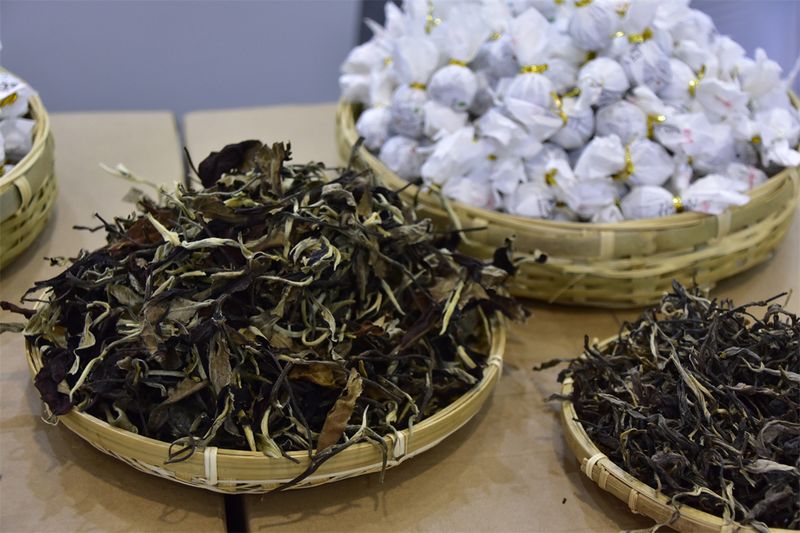 Taste White Tea and Embrace the Flavors of Nature-3