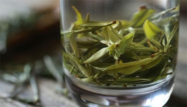 Brewing Green Tea: How Much Green Tea Should You Drink Each Day-2