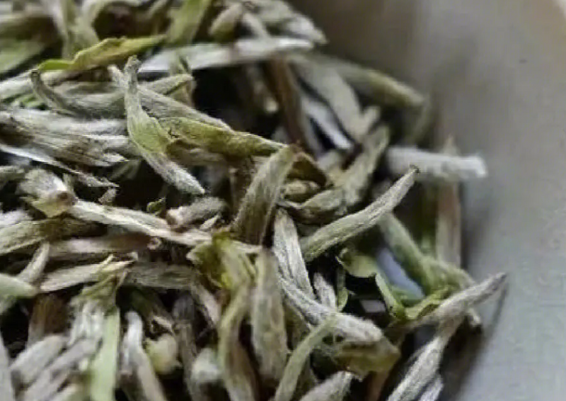 What Temperature Water is Best for Brewing White Tea?-1