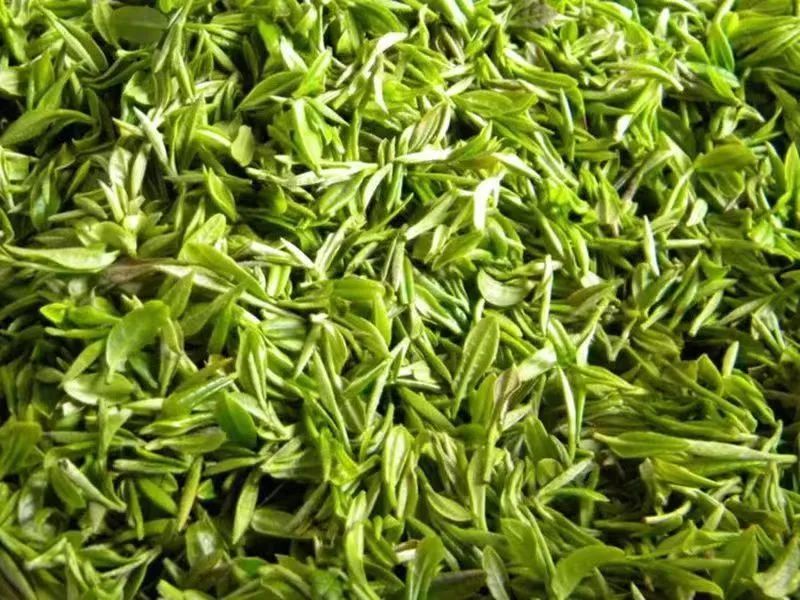 The Tea Processing of Xinyang Maojian-1